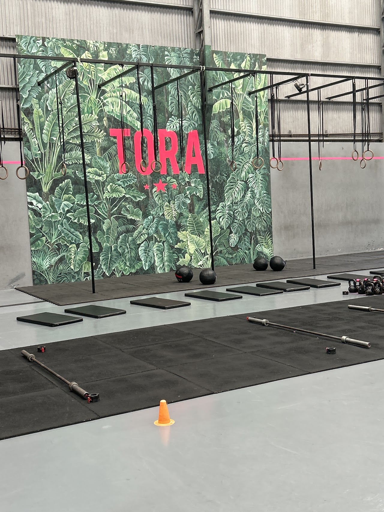 Equipamiento de fuerza y anillas Tora